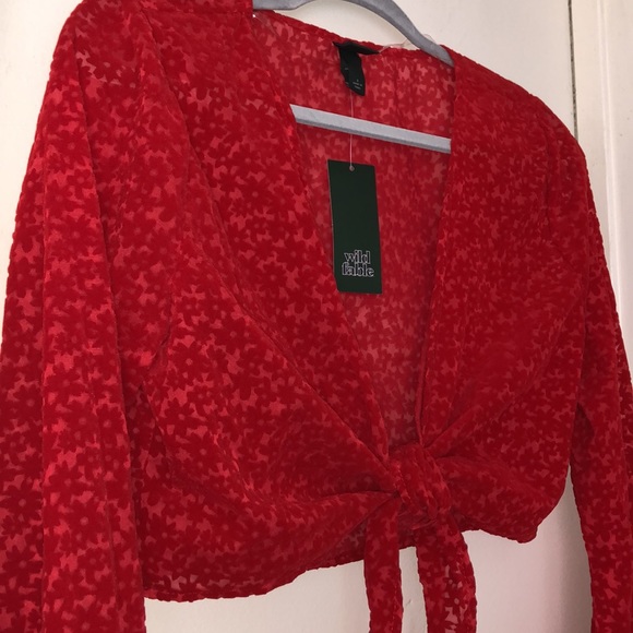 NWT Wild Fable Target Red Suede Floral Translucent Tie Crop Top Long Sleeves - S - Picture 4 of 12
